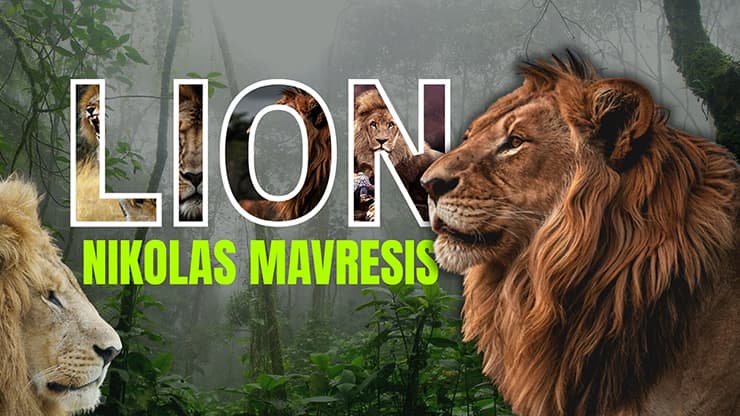 Lion by Nikolas Mavresis video DOWNLOAD - magic trick