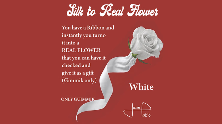 Silk to Real Flower (White) by Juan Pablo - magic trick