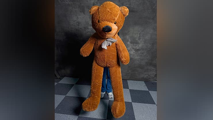 Teddy Bear Appearance (Large) by MS Magic - magic trick