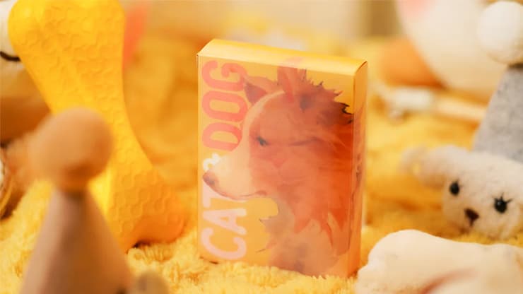 Cat & Dog Playing Cards by TCC Fashion - magic trick