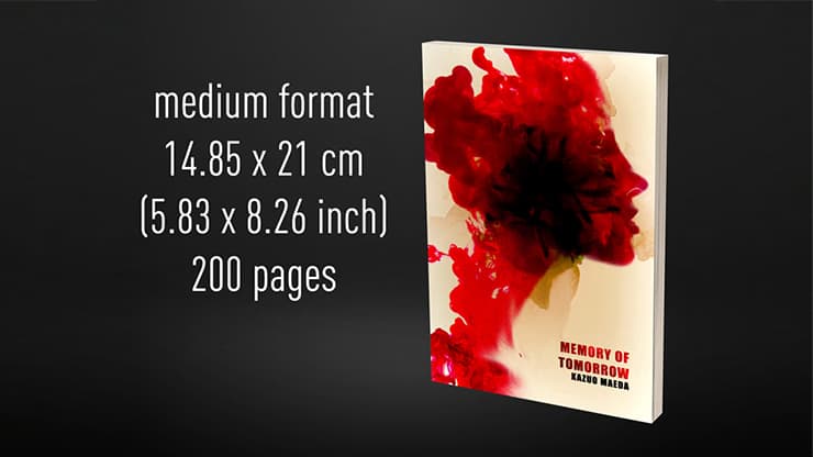 Babel Book Test 4 by Vincent Hedan (Memory of tomorrow), medium, 600 pages - magic trick