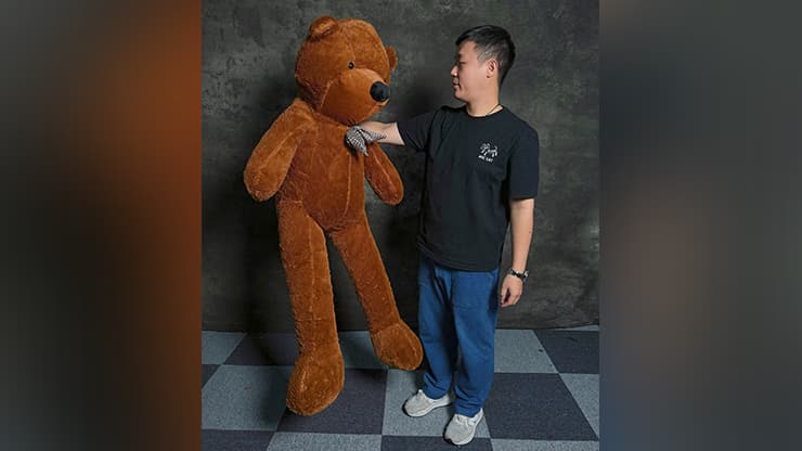 Teddy Bear Appearance (Medium) by MS Magic - magic trick