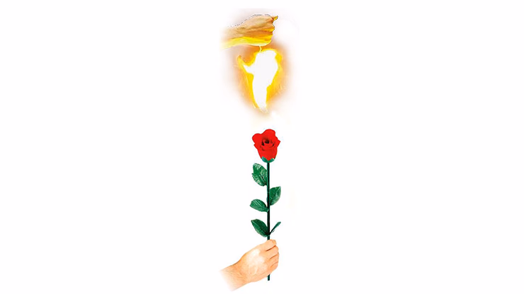 Instant Rose by Vincenzo DiFatta - magic trick