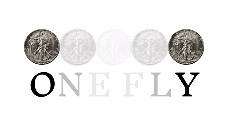 OneFly by Pieter Hofstra video DOWNLOAD magic trick