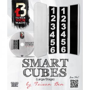 Smart Cubes (Large / Stage) by Taiwan Ben