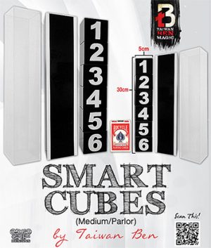Smart Cubes (Medium / Parlor) by Taiwan Ben