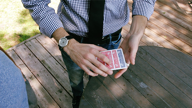 ReCard Monte by Steven Himmel video DOWNLOAD - Image 2