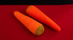 Sponge Carrots (2 pieces) by Alexander May