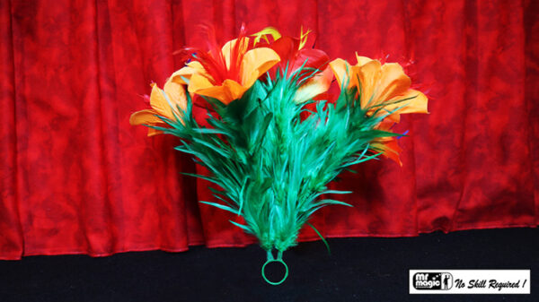 Classic Sleeve Bouquet Pair (6) Deluxe by Mr. Magic