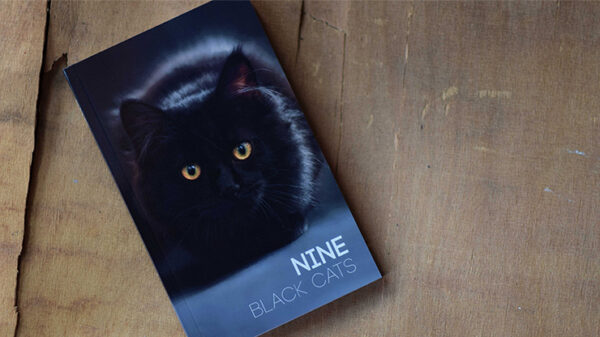 Nine Black Cats by Neemdog and Lorenzo - Book