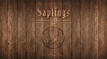 Skymember Presents Saplings by Yu Huihang - DVD