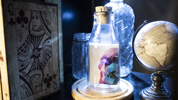 Memento Mori Impossible Bottles by Stanley Yashayev