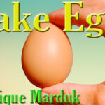 Fake Egg Brown by Quique Marduk