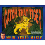 Catch That Tiger by Shigeo Futagawa