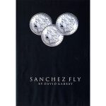 Sanchez Fly by David Gabbay - video - DOWNLOAD
