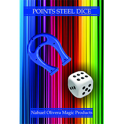 Points Steel Dice (2 Dice Set)