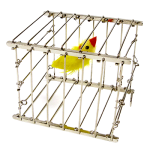 Vanishing Bird Cage