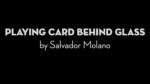 Playing Card Behind Glass by Salvador Molano video DOWNLOAD - Download
