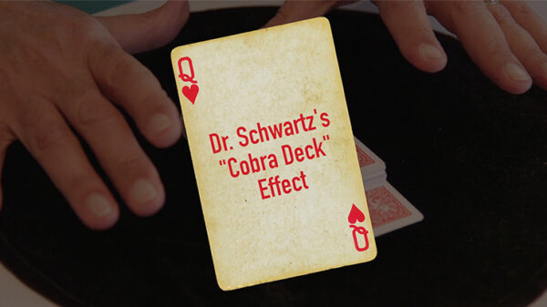 Dr. Schwartz's Cobra Deck