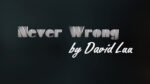 Never Wrong by David Luu video DOWNLOAD - Download