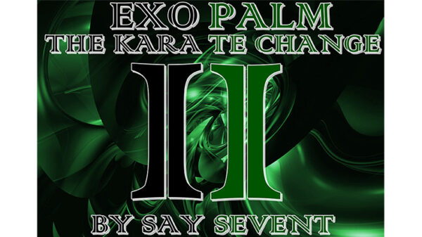EXOPALM THE KARATE CHANGE by SaysevenT video DOWNLOAD - Download