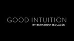 Good Intuition by Bernardo Sedlacek video DOWNLOAD - Download
