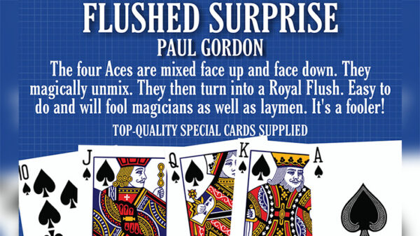 FLUSHED SURPRISE by Paul Gordon