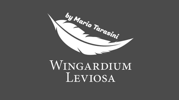 Wingardium Leviosa by Mario Tarasini video DOWNLOAD - Download