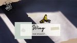 The Vault - WING by Ade Rahmat video DOWNLOAD - Download