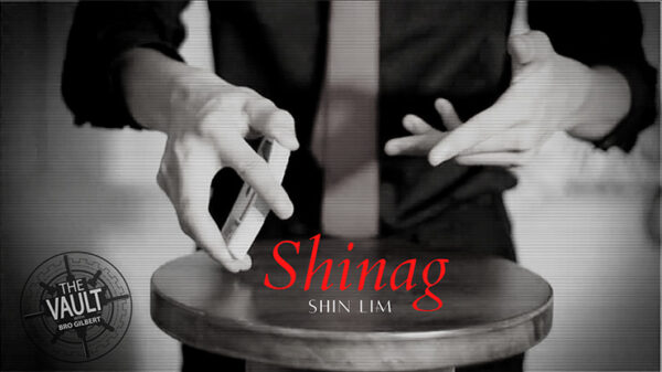 The Vault - Shinag by Shin Lim video DOWNLOAD - Download