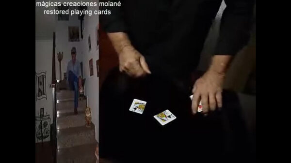 Restored Playing Cards by Salvador Molano video DOWNLOAD - Download