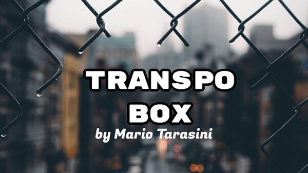 Transpo Box by Mario Tarasini video DOWNLOAD - Download