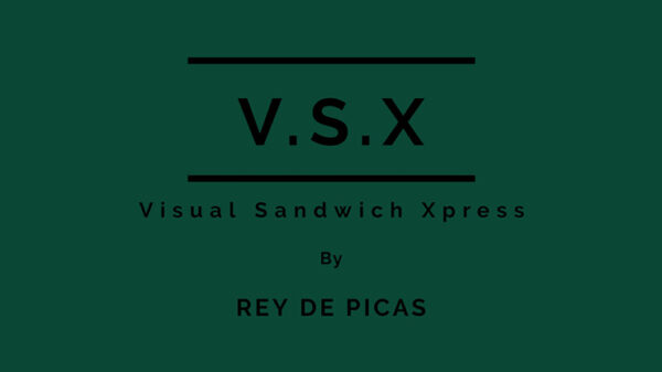 VSX (Visual Sandwich Xpress) by Rey de Picas video DOWNLOAD - Download