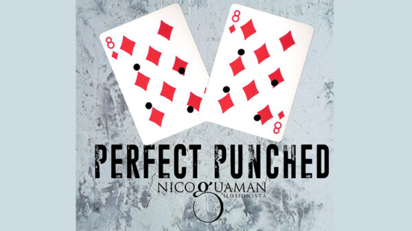 Perfect Punched By Nico Guaman video DOWNLOAD - Download