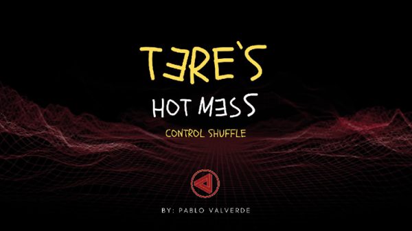 Tere's Hot Mess Control Shuffle by José Pablo Valverde - Download