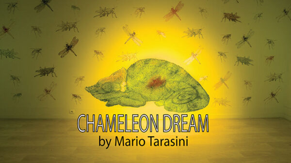 Chameleon Dream by Mario Tarasini video DOWNLOAD - Download