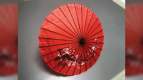 Dragon Parasol RED by LY & MS Magic