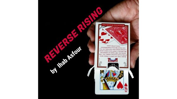 Mario Tarasini presents: Reverse Rising by Ihab Asfour - video DOWNLOAD - Download