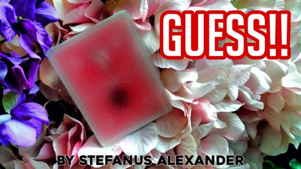 GUESS by Stefanus Alexander video DOWNLOAD - Download