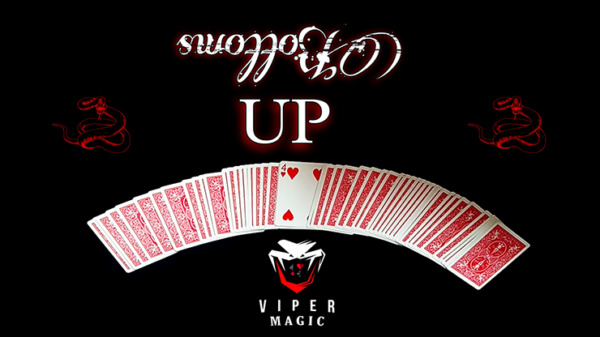 Bottoms UP by Viper Magic video DOWNLOAD - Download