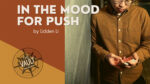 The Vault - In The Mood For Push by Lidden Li video DOWNLOAD - Download