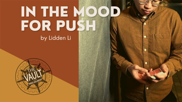 The Vault - In The Mood For Push by Lidden Li video DOWNLOAD - Download