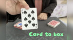 Card to Box by Dingding video DOWNLOAD - Download