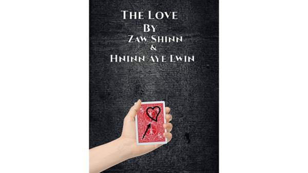 The Love By Zaw Shinn &Hninn Aye Lwinvideo DOWNLOAD - Download