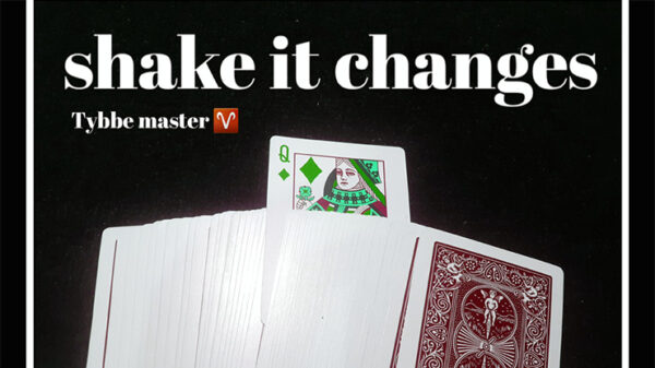 Shake it Changes by Tybbe Master video DOWNLOAD - Download