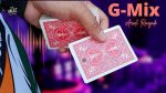 The Vault G-Mix by Arnel Renegado video DOWNLOAD - Download