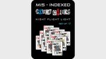 Mis-Indexed Court Cards (LIGHT) - Pack of 12 by Steve Dela