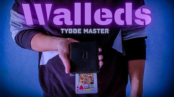 Walleds by Tybbe Master video DOWNLOAD - Download