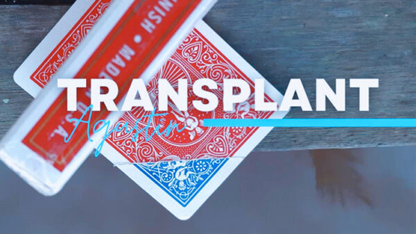 Transplant by Agustin video DOWNLOAD - Download