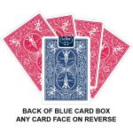 Back Of Blue Card Box